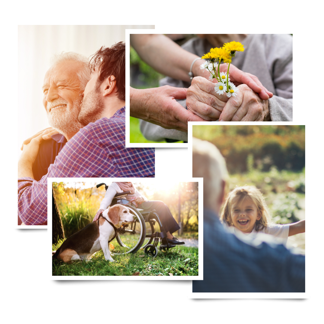 Collage of images showing happy seniors.